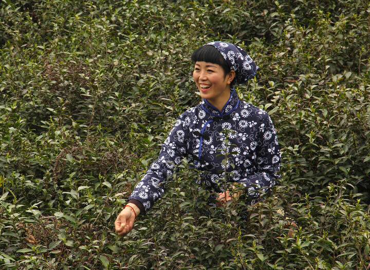 伊人成视人免费直播